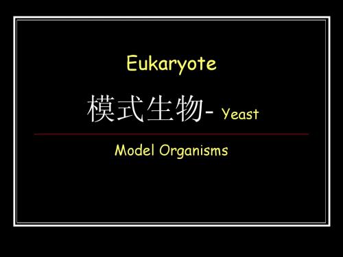 章节2模式生物学-酵母6-10