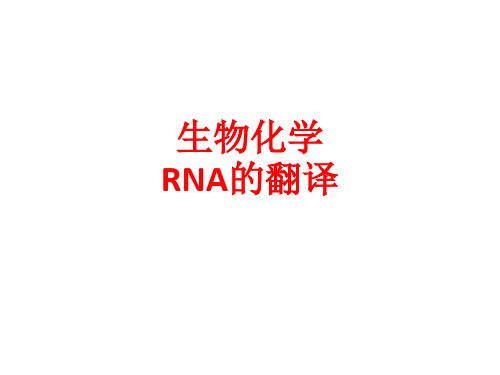 [课件]生物化学RNA的翻译PPT