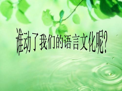 毛概演讲---文化