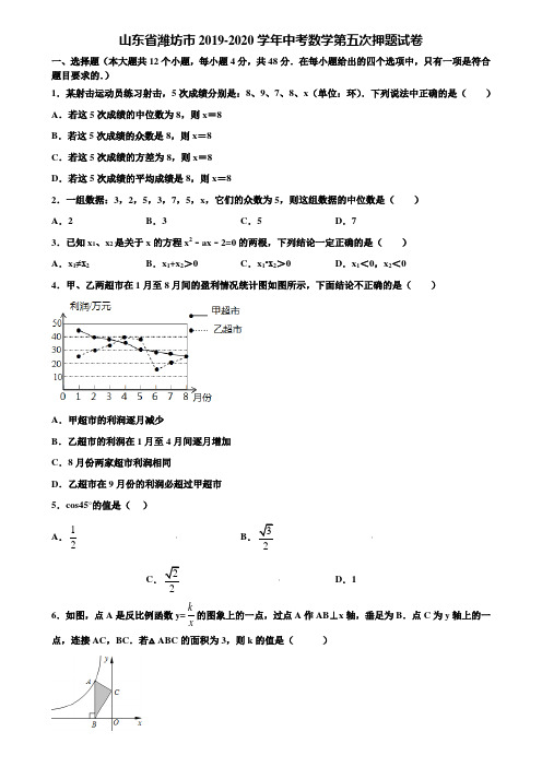 山东省潍坊市2019-2020学年中考数学第五次押题试卷含解析
