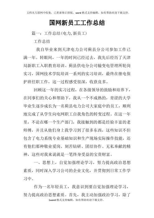 国网新员工工作总结