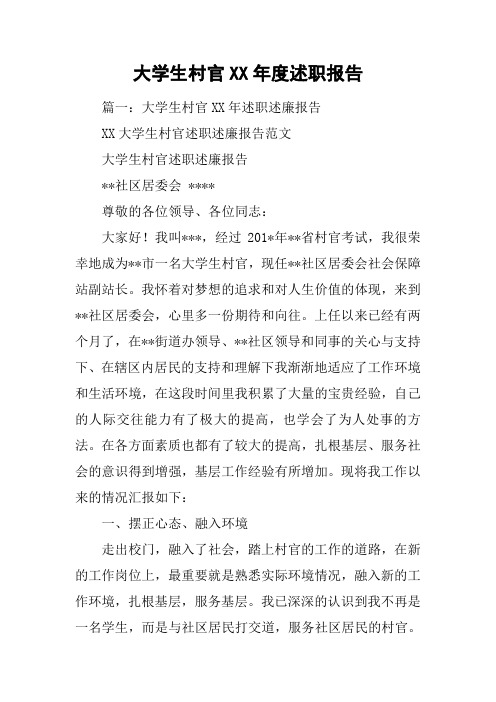 大学生村官XX年度述职报告