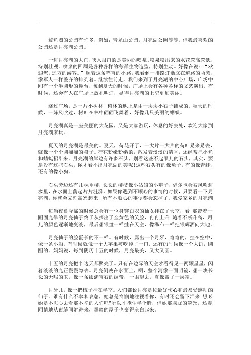 最新美丽的月亮湖作文250字 3篇