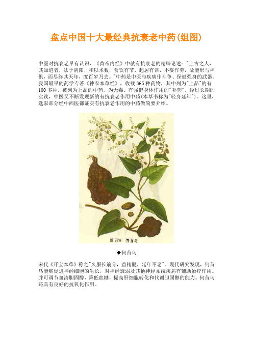 盘点中国十大最经典抗衰老中药