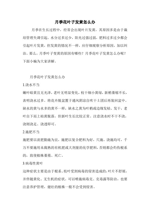 月季花叶子发黄怎么办.doc