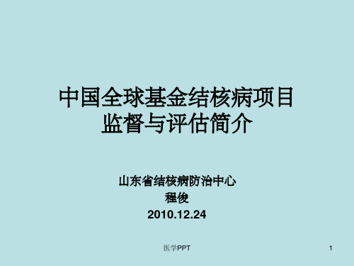 山东省全球基金结核病整合项目监督与评估简介