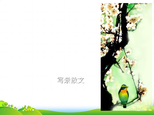 新人教版七年级上册语文11《春》课件35张