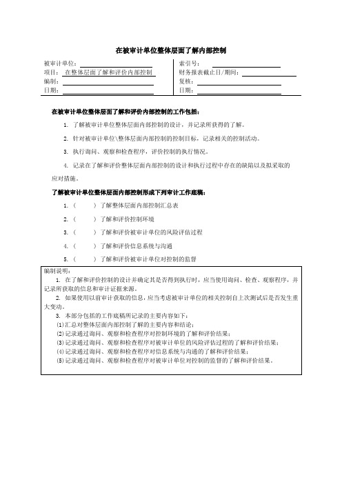 在被审计单位整体层面了解内部控制