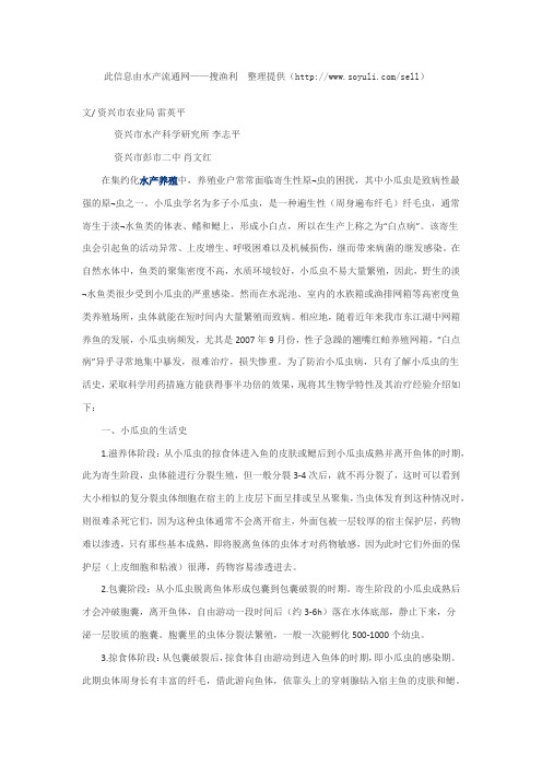 网箱养殖翘嘴红鲌小瓜虫病的防治技术