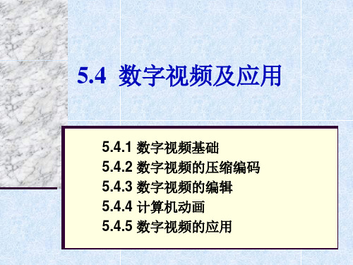 96第5章54 数字视频及应用PPT课件