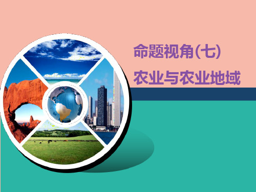 (江苏专用)2020高考地理二轮复习第一部分聚集选择题的10大命题视角命题视角(七)农业与农业地域课件