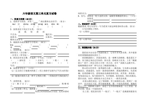 六年级第三单元复习试卷
