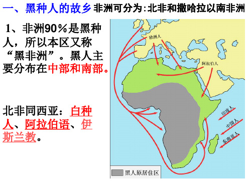 非洲人文区域特征)1