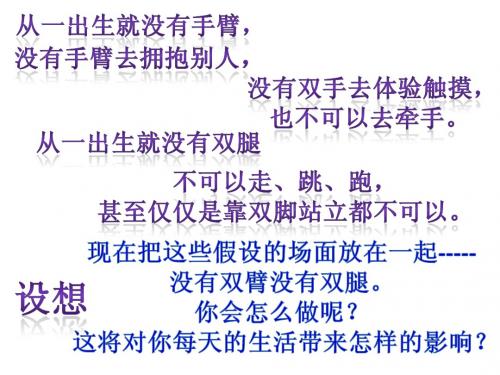 尼克 胡哲