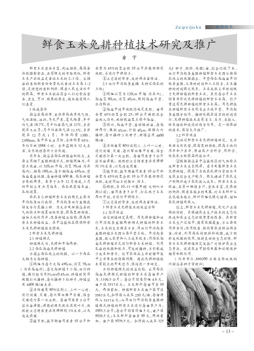 鲜食玉米免耕种植技术研究及推广