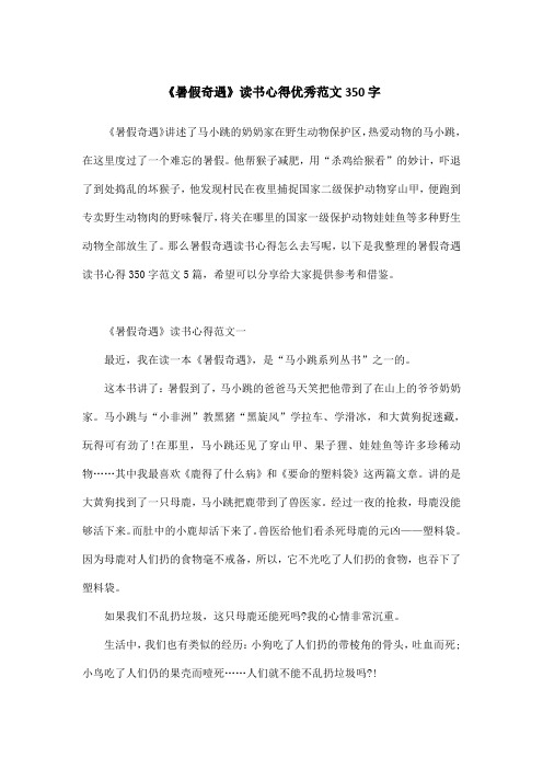 《暑假奇遇》读书心得优秀范文350字