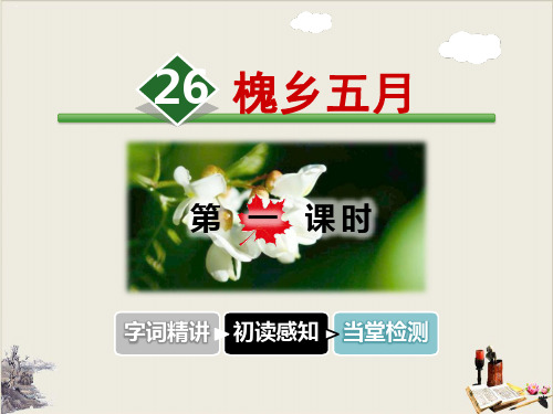槐乡五月_PPT