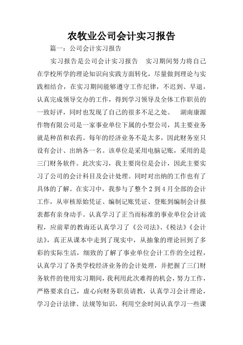 农牧业公司会计实习报告