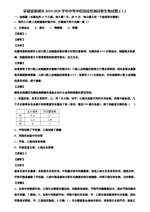 安徽省巢湖市2019-2020学年中考中招适应性测试卷生物试题(1)含解析