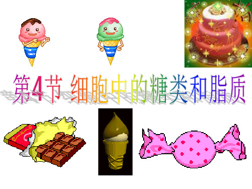 一轮复习：糖类和脂质