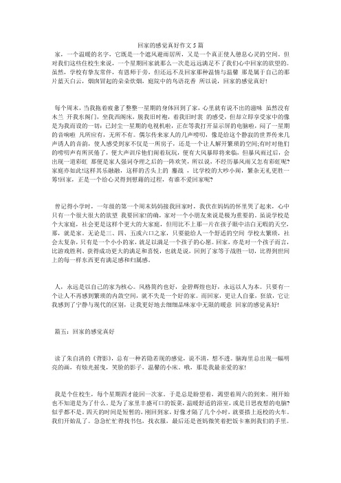 回家的感觉真好作文5篇