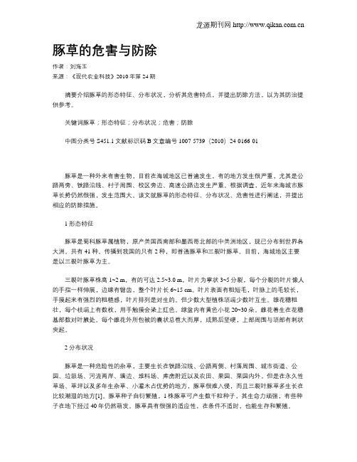 豚草的危害与防除