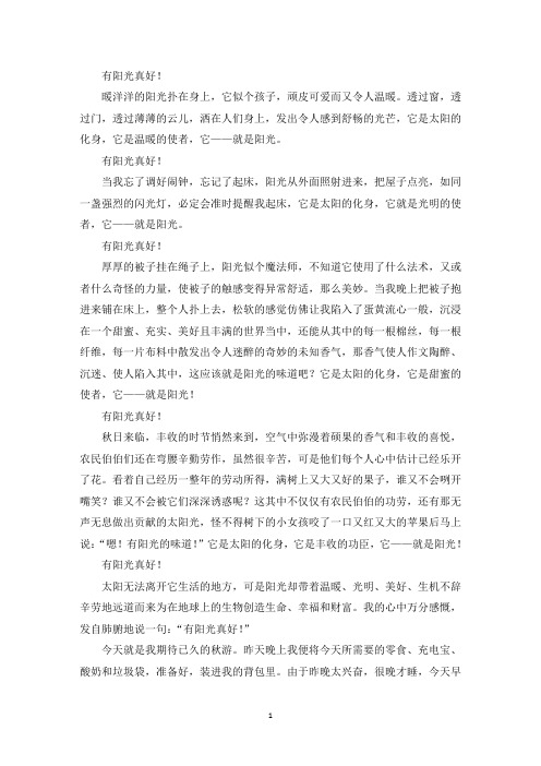 精选优秀作文有阳光真好
