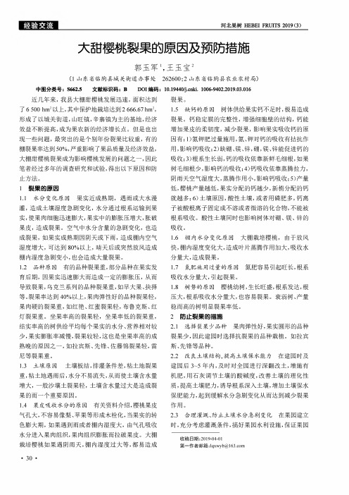 大甜樱桃裂果的原因及预防措施