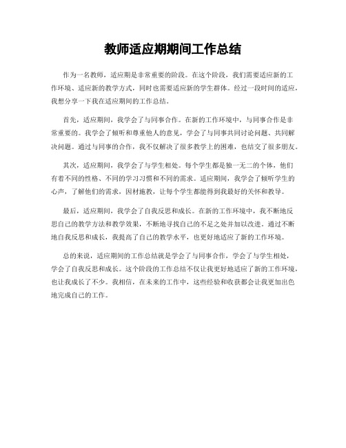教师适应期期间工作总结