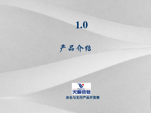 SRTE1.0产品简要介绍