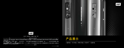 西部数据硬盘资料2278-701018