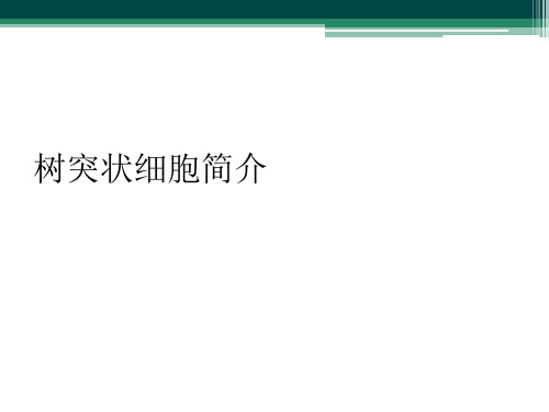 树突状细胞简介