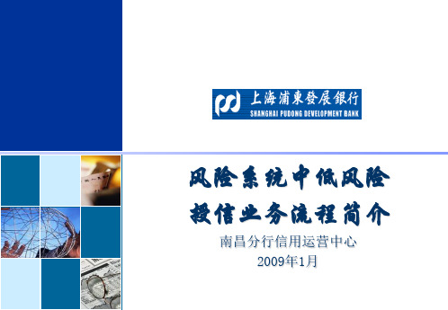 低风险授信业务风险系统流程介绍