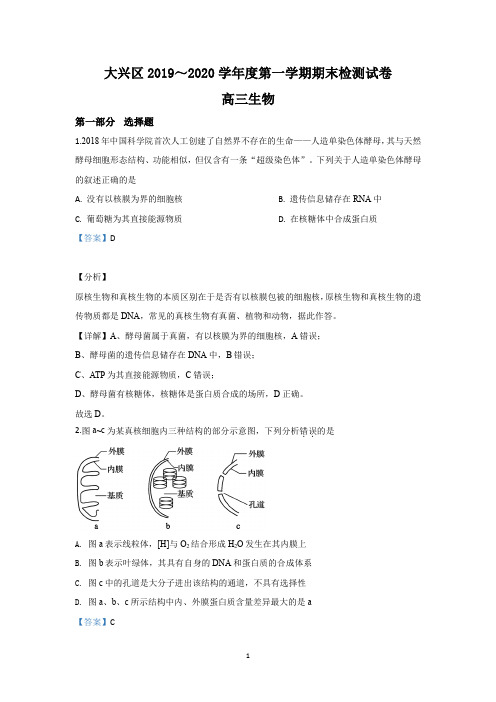 【解析】北京市大兴区2020届高三上学期期末考试生物试题