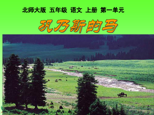 巩乃斯的马 北师大版  ppt课件