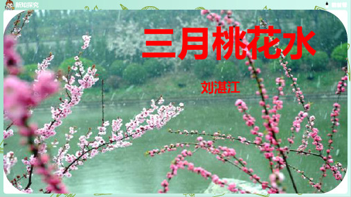 (小学课件)三月桃花水