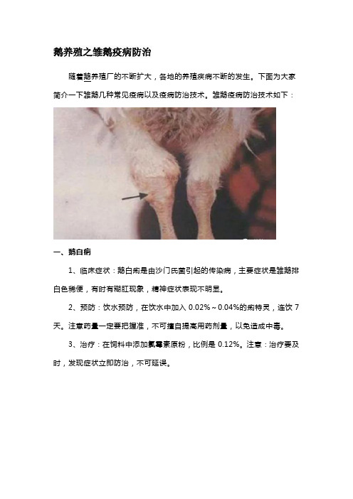 鹅养殖之雏鹅疫病防治