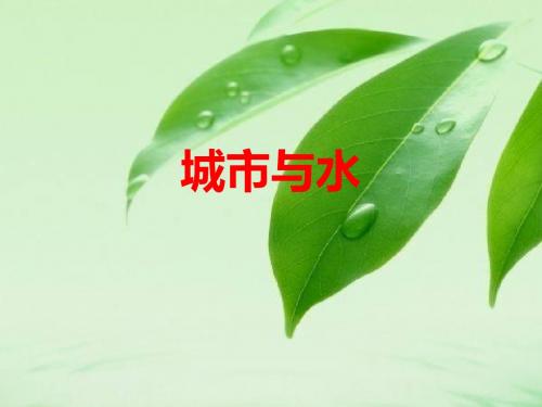 3.城市水文效应 2