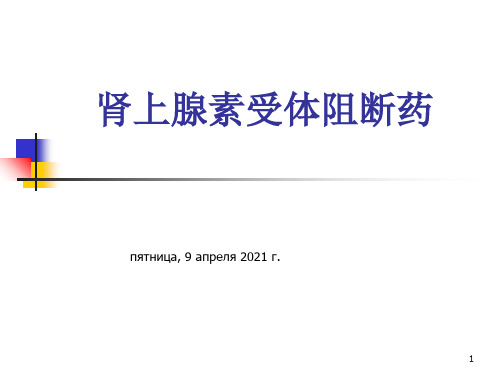 肾上腺素受体阻断药PPT课件