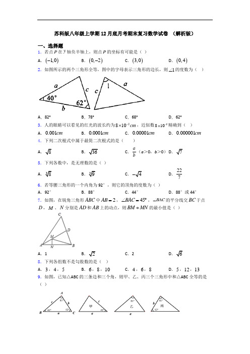 苏科版八年级上学期12月底月考期末复习数学试卷 (解析版)