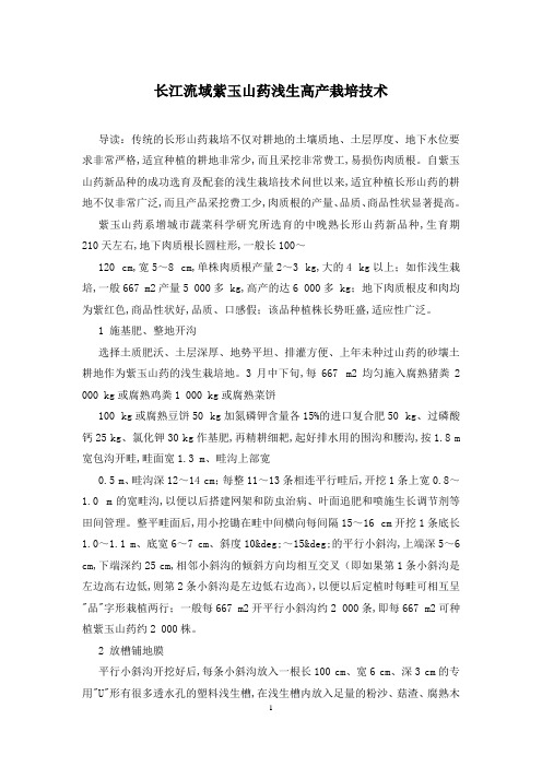 长江流域紫玉山药浅生高产栽培技术