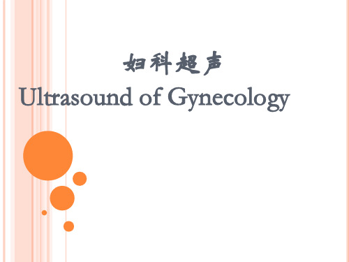 医学影像学：妇科超声
