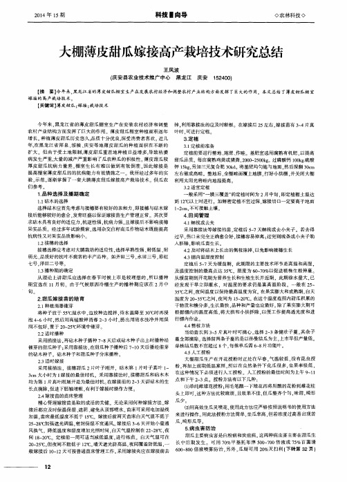 大棚薄皮甜瓜嫁接高产栽培技术研究总结