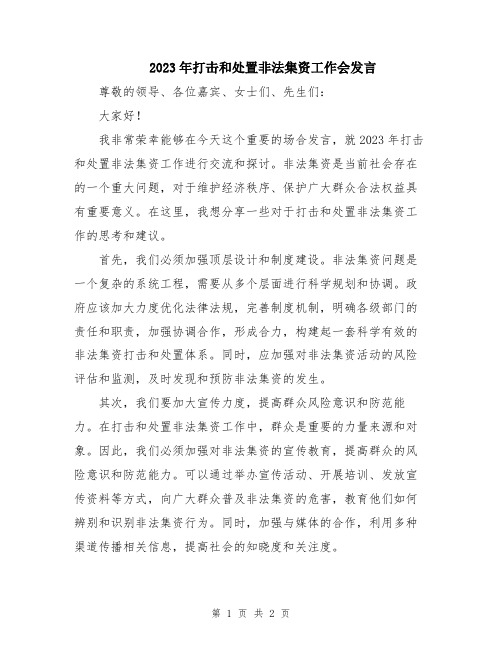 2023年打击和处置非法集资工作会发言