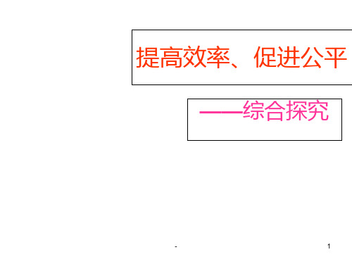 高一政治提高效率促进公平PPT课件