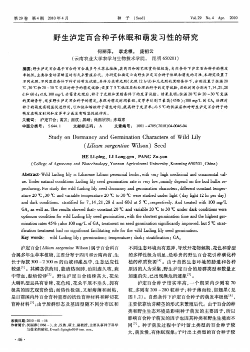 野生泸定百合种子休眠和萌发习性的研究