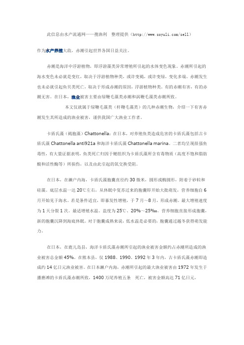 赤潮及其对鱼贝类危害