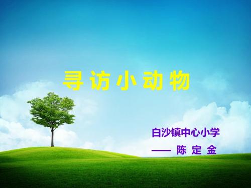 三年级上册科学第七课《寻访小动物》课件