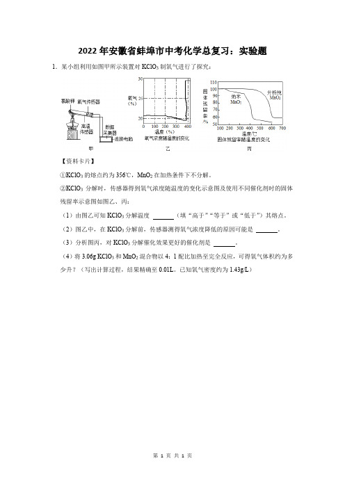 2022年安徽省蚌埠市中考化学总复习：实验题