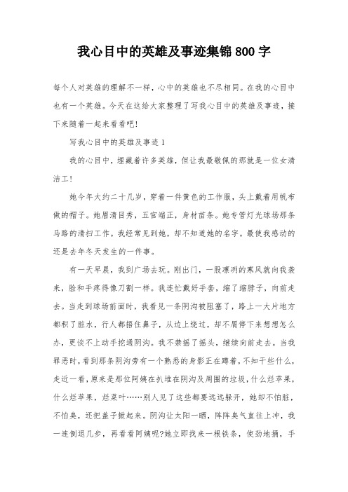 我心目中的英雄及事迹集锦800字